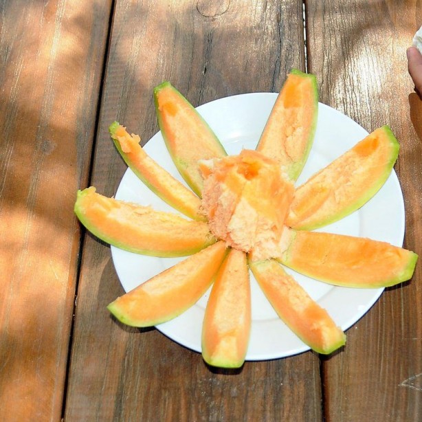 Foto - 'Yer muzu' görmüş müydünüz?