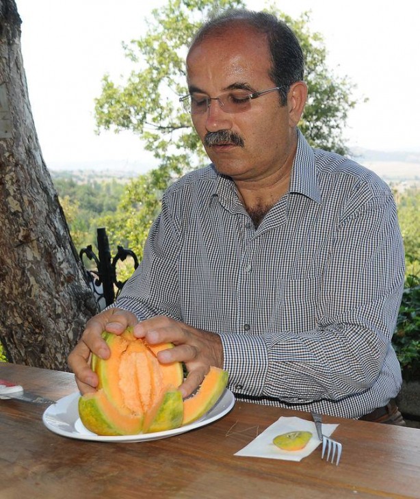 Foto - 'Yer muzu' görmüş müydünüz?