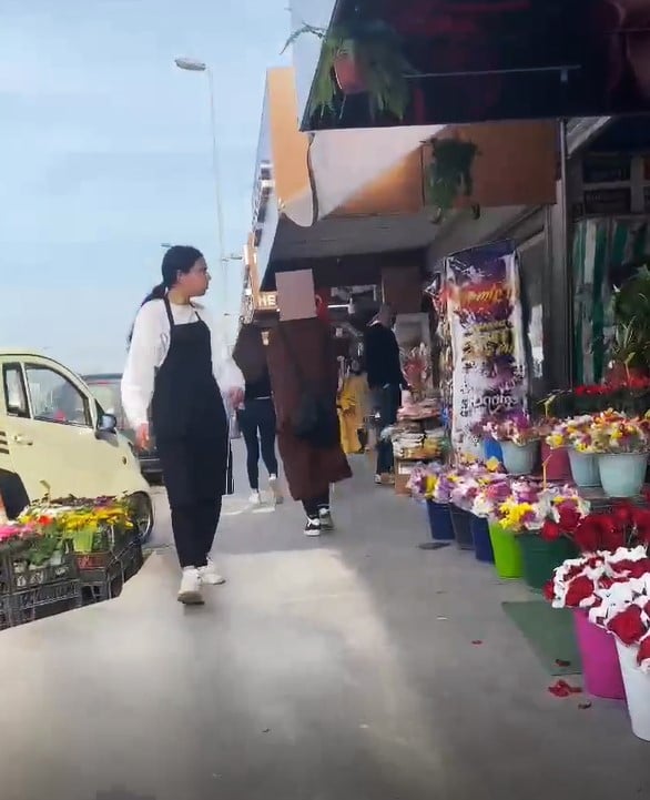 Foto - Yer Yalova! Kafasında karton kutuyla gezdi: Şaşkına çeviren kadını görenler dönüp bir daha baktı! Sebebi ise…