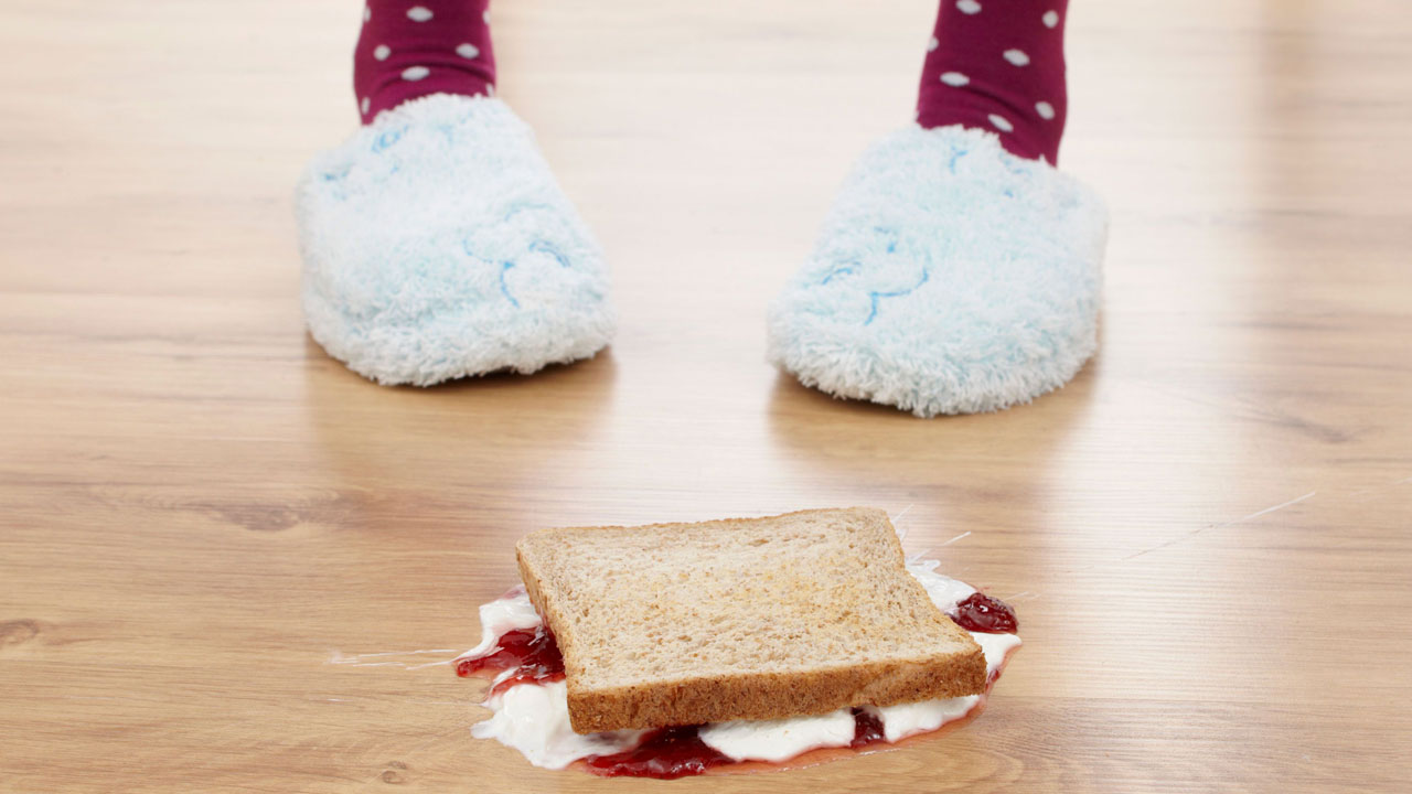 Foto - Yere düşen gıdalarla ilgili gerçek ortaya çıktı! 5 saniye kuralı gerçek mi?