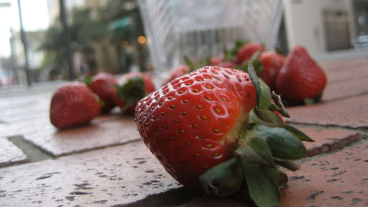 Foto - Yere düşen gıdalarla ilgili gerçek ortaya çıktı! 5 saniye kuralı gerçek mi?