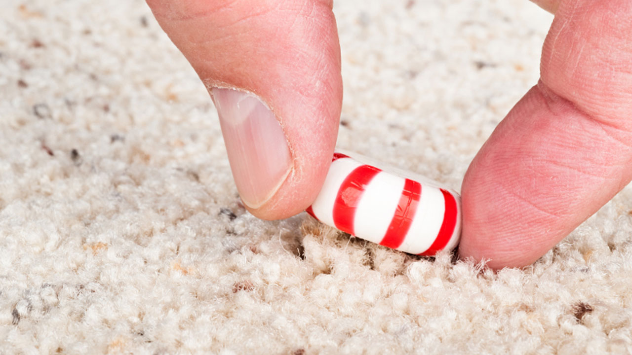 Foto - Yere düşen gıdalarla ilgili gerçek ortaya çıktı! 5 saniye kuralı gerçek mi?