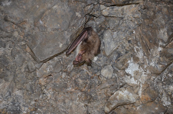 Foto - Yerin 100 metre altına iniyor! İşte 20 gözlü dev mağara