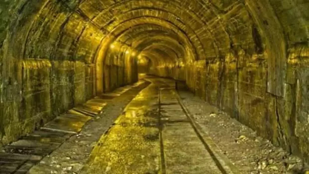 Yerin altı kaynıyor! Türkiye'nin 100 ton altını nasıl bulacağını açıkladı