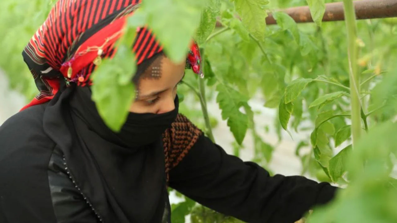 Foto - Yerin altından oluk oluk beyaz petrol aktı! Eksi -15 derecede 800 tona yakın ürettiler 