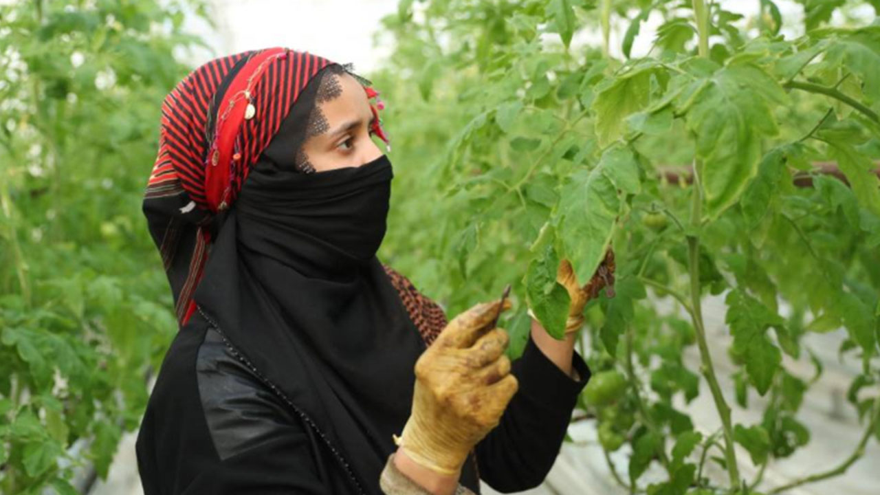 Foto - Yerin altından oluk oluk beyaz petrol aktı! Eksi -15 derecede 800 tona yakın ürettiler 