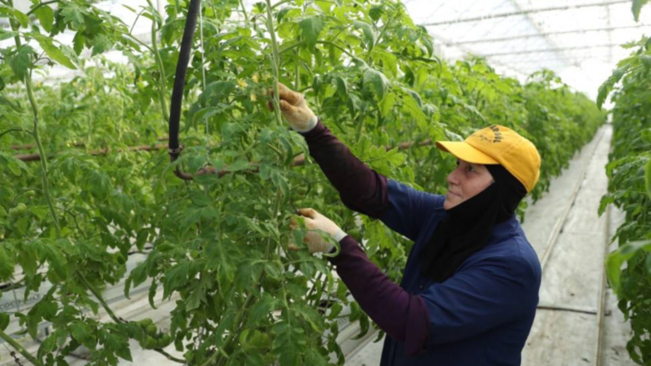 Foto - Yerin altından oluk oluk beyaz petrol aktı! Eksi -15 derecede 800 tona yakın ürettiler 