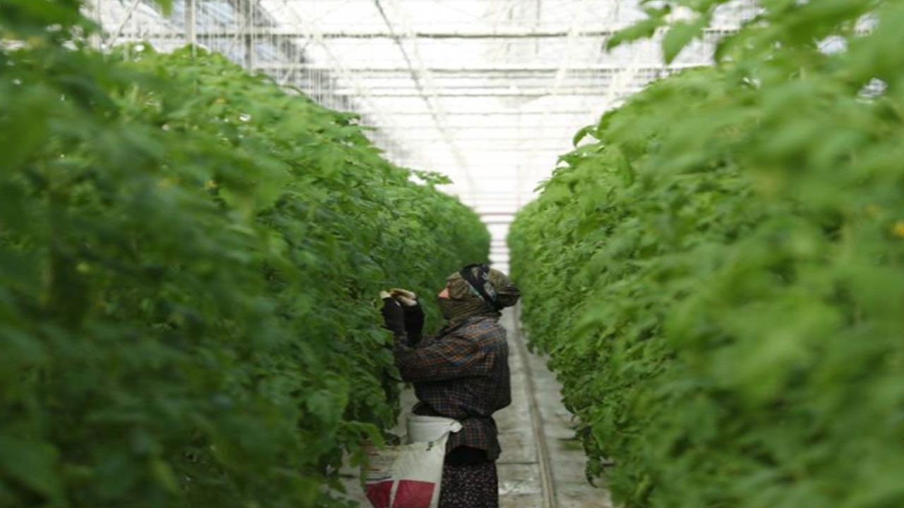 Foto - Yerin altından oluk oluk beyaz petrol aktı! Eksi -15 derecede 800 tona yakın ürettiler 