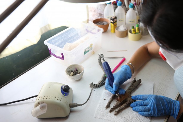 Yerin altından öyle bir şey fışkırdi ki... Görenler gözlerine inanamadı! Tamı tamına 1700 yıllık...