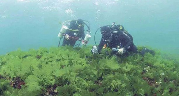 Foto - Yerini pek çok kişi bilmiyor! İşte İstanbul’un bilinmeyen adası