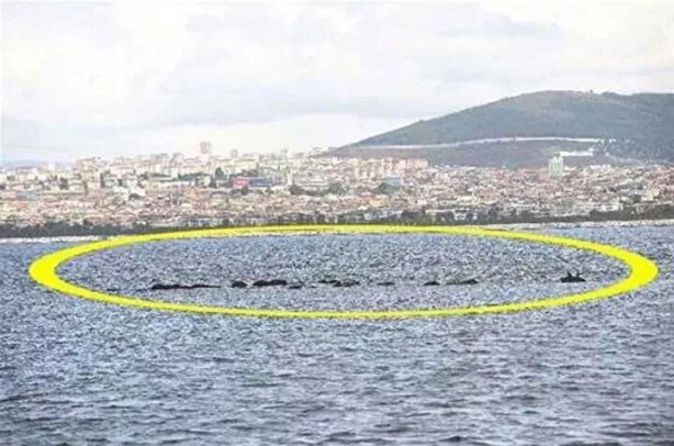 Foto - Yerini pek çok kişi bilmiyor! İşte İstanbul’un bilinmeyen adası