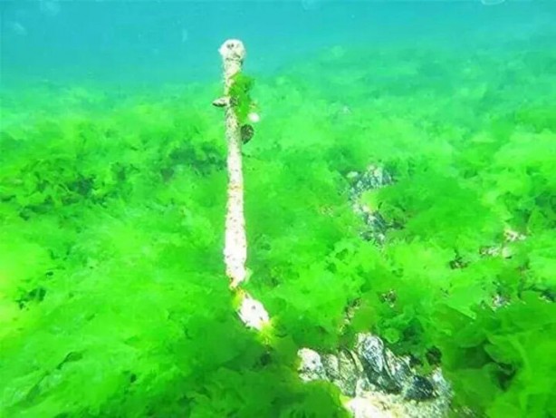 Foto - Yerini pek çok kişi bilmiyor! İşte İstanbul’un bilinmeyen adası