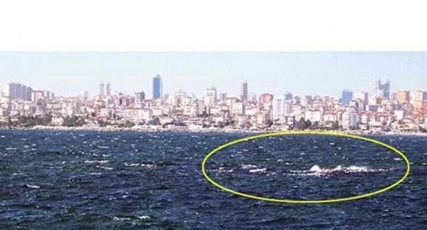 Foto - Yerini pek çok kişi bilmiyor! İşte İstanbul’un bilinmeyen adası