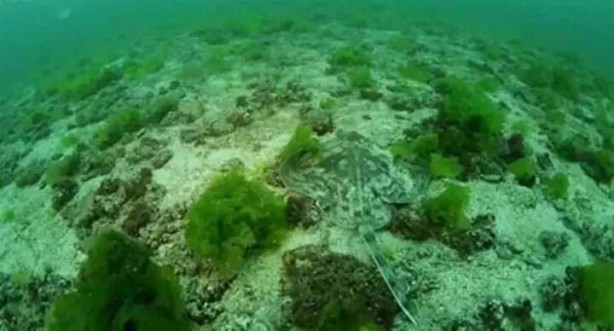 Foto - Yerini pek çok kişi bilmiyor! İşte İstanbul’un bilinmeyen adası