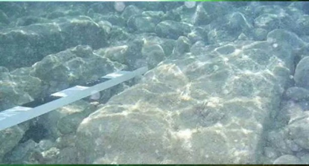 Foto - Yerini pek çok kişi bilmiyor! İşte İstanbul’un bilinmeyen adası