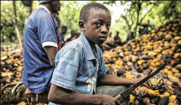 Foto - Yerken bir kez daha düşüneceksiniz... Çikolatanın karanlık perde arkası ortaya çıktı! 