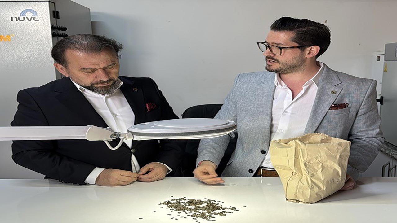 Foto - Yerli hibrit ayçiçeği tohumunda büyük adım! Yeni versiyon tescillendi