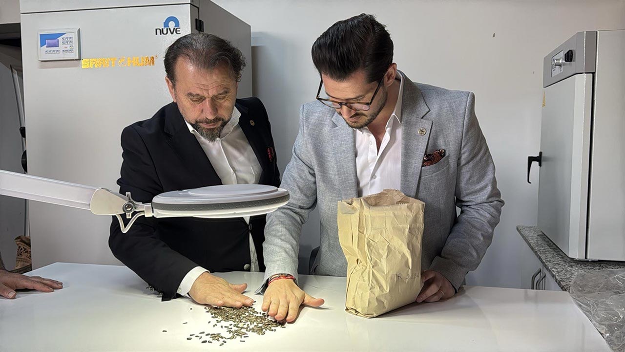 Yerli hibrit ayçiçeği tohumunda büyük adım! Yeni versiyon tescillendi