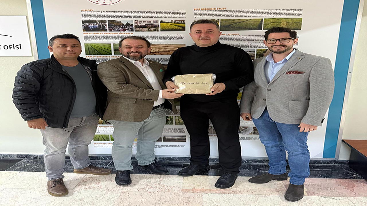 Foto - Yerli hibrit ayçiçeği tohumunda büyük adım! Yeni versiyon tescillendi