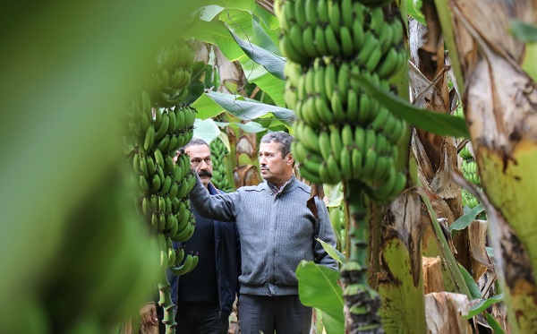 Foto - Yerli üretimin faydası | Et fiyatlarıyla yarışıyordu! 