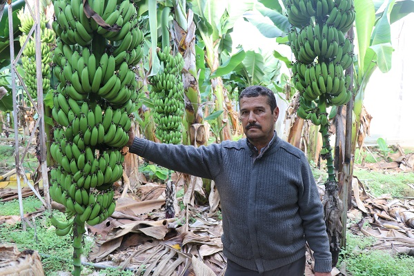 Foto - Yerli üretimin faydası | Et fiyatlarıyla yarışıyordu! 