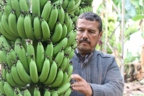 Foto - Yerli üretimin faydası | Et fiyatlarıyla yarışıyordu! 