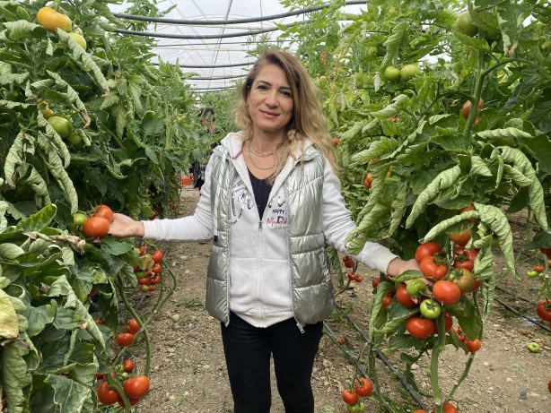 Foto - Yerli ve milli tohumdan üretildi! İnanılmaz bir verim elde edildi