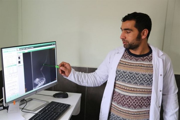 Foto - Yeryüzünde nesli tükeniyordu Tunceli'de tedavi altına alındı