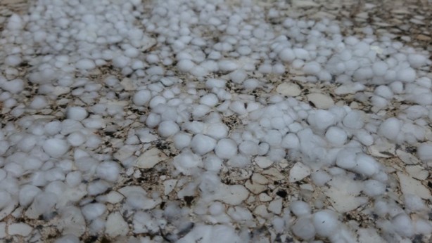 Foto - Yeşil alanlar beyaza büründü