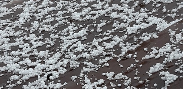 Foto - Yeşil alanlar beyaza büründü