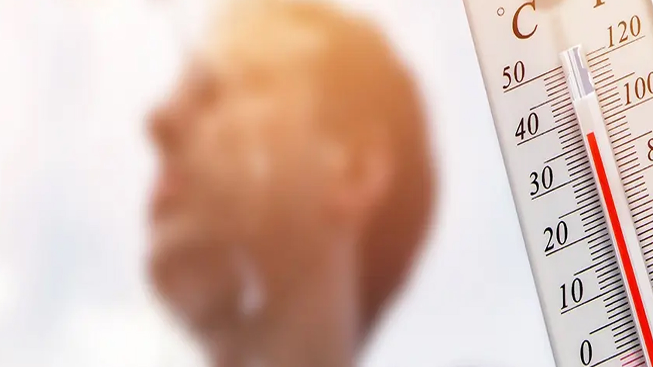 Foto - Yeşil ayran sıcak havalarda için süper bir şey! Şaşırtan sonuç... Bakın faydaları neler?