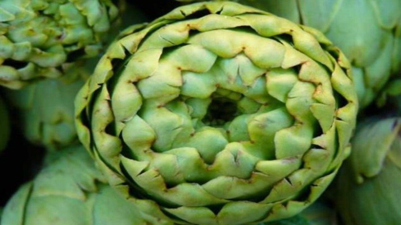 Foto - ‘Yeşil elmas’ diyorlar! Enginarın bilinmeyen faydaları açıklandı