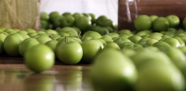 Foto - Yeşil eriği sakın böyle tüketmeyin