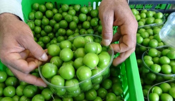 Foto - Yeşil eriği sakın böyle tüketmeyin