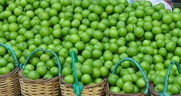 Foto - Yeşil eriği sakın böyle tüketmeyin