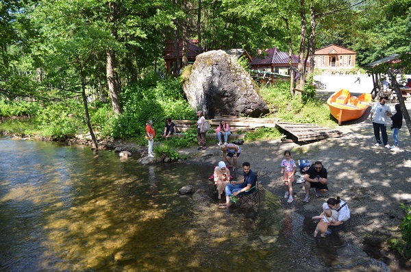 Foto - Yeşil her tonu burada! İşte Türkiye'nin saklı cenneti