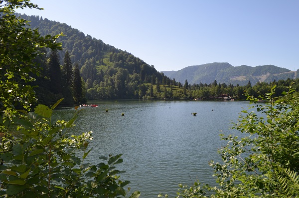 Foto - Yeşil her tonu burada! İşte Türkiye'nin saklı cenneti