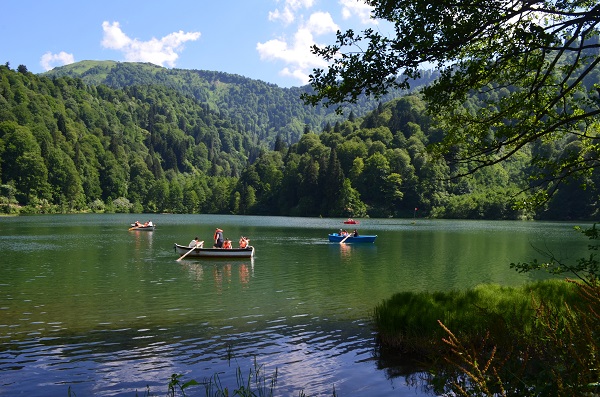Foto - Yeşil her tonu burada! İşte Türkiye'nin saklı cenneti