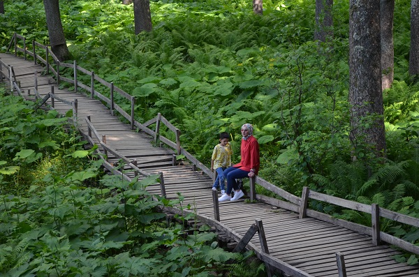 Foto - Yeşil her tonu burada! İşte Türkiye'nin saklı cenneti