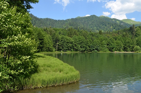 Yeşil her tonu burada! İşte Türkiye'nin saklı cenneti