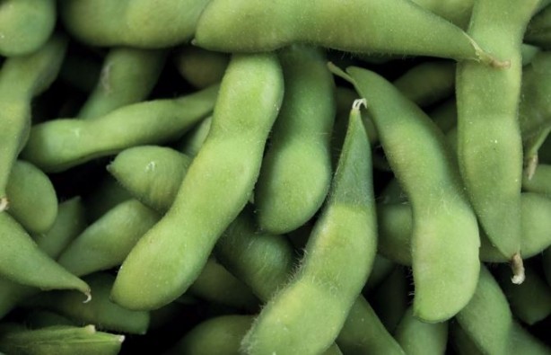 Foto - Yeşil soya fasulyesinin faydası saymakla bitmiyor! Tam bir protein deposu