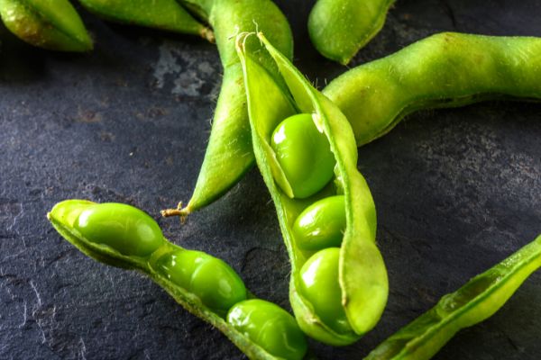 Foto - Yeşil soya fasulyesinin faydası saymakla bitmiyor! Tam bir protein deposu