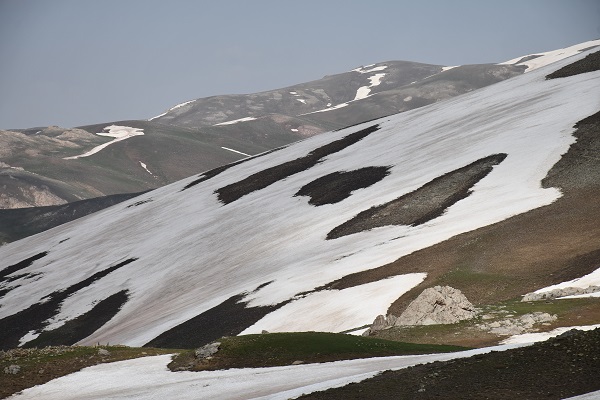 Foto - Yeşil ve beyazın buluştuğu nokta: Şırnak