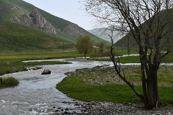 Foto - Yeşil ve beyazın buluştuğu nokta: Şırnak
