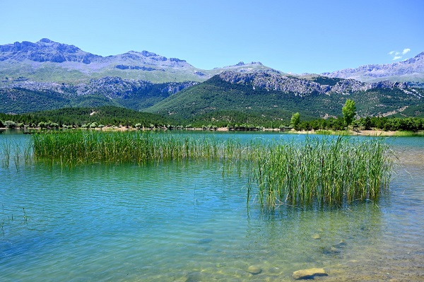 Foto - Yeşil ve mavinin buluşma noktası: Gökçehüyük Göleti