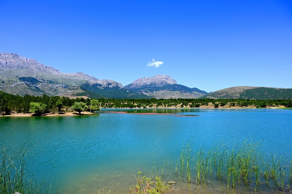 Foto - Yeşil ve mavinin buluşma noktası: Gökçehüyük Göleti