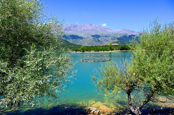 Foto - Yeşil ve mavinin buluşma noktası: Gökçehüyük Göleti