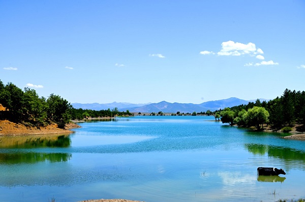 Yeşil ve mavinin buluşma noktası: Gökçehüyük Göleti