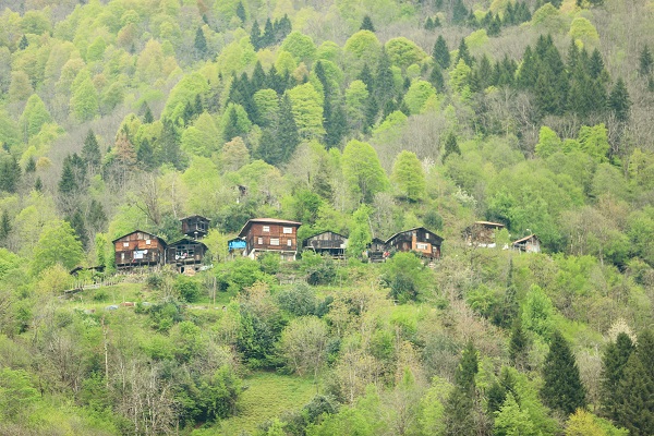Foto - Yeşil ve mavinin buluştuğu nokta: Rize