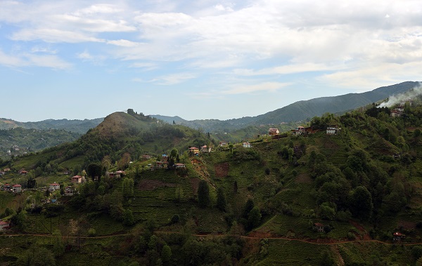 Foto - Yeşil ve mavinin buluştuğu nokta: Rize